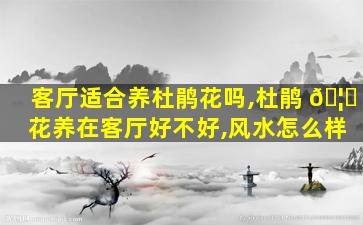 客厅适合养杜鹃花吗,杜鹃 🦍 花养在客厅好不好,风水怎么样